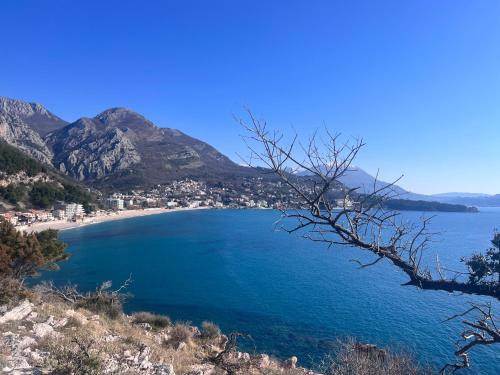 Olahraga dan Aktivitas, Apartments in villa Viktoria in Sutomore