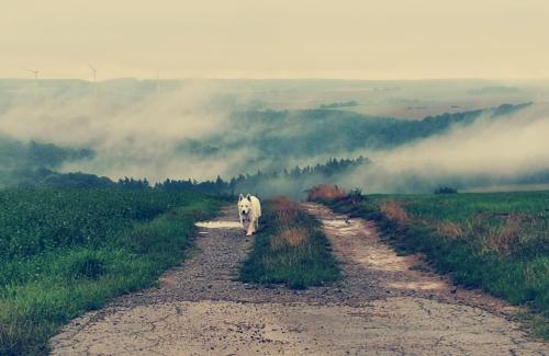 O'pOzArt Guesthouse in Spontin