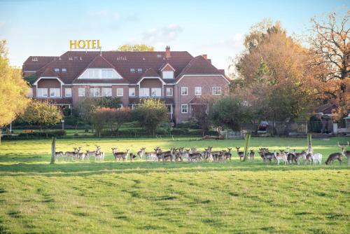 Hotel Hennies - image 7