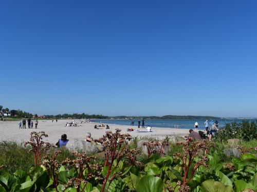 Kerteminde Byferie - Hyrdevej 83 85B - image 2
