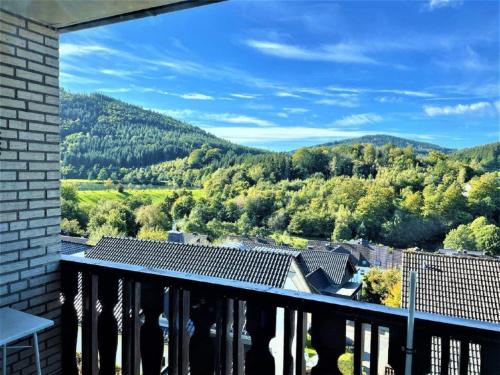 View, Ferienwohnung Hilleseeperle in Niedersfeld