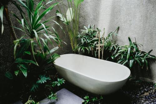 Instalaciones, PORTER HOTEL - Surf & Yoga Retreat in Lombok