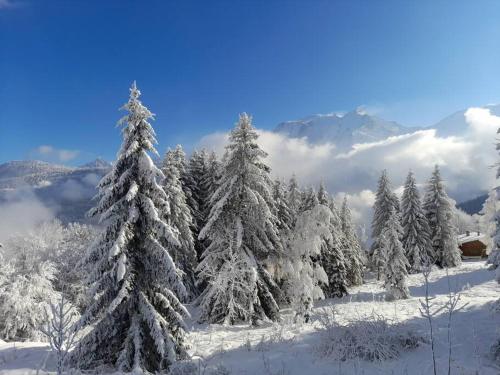 Le cocon du Bettex 1400 - Cozy Apt near Mont Blanc 2