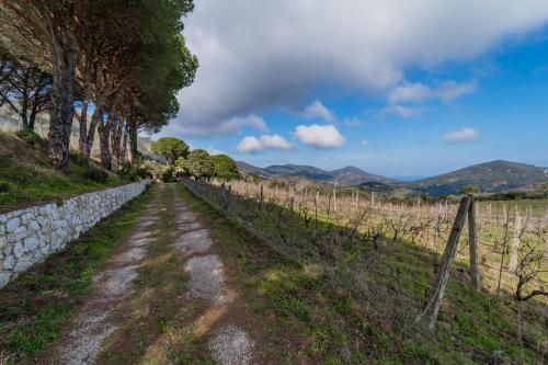 Villa Campo al Pero