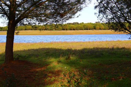 Sesmarias Turismo Rural & SPA - image 14