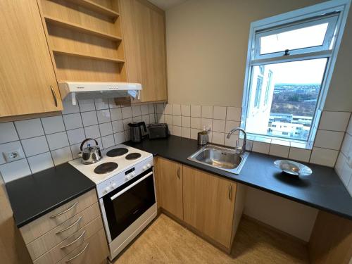 Kitchen, Panoramic Studio Apartment with stunning view - Free Parking in Laugardalur