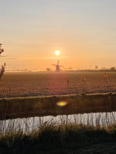 Widok, de Veldwachter in Oudesluis