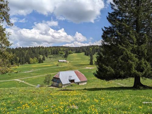 Ferme d'alpage La Bâtie Dessous (Ferme d'alpage La Batie Dessous) in Brey-et-Maison-du-Bois