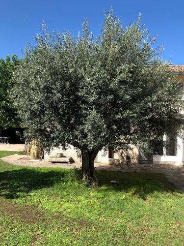 Gîte cocooning avec piscine