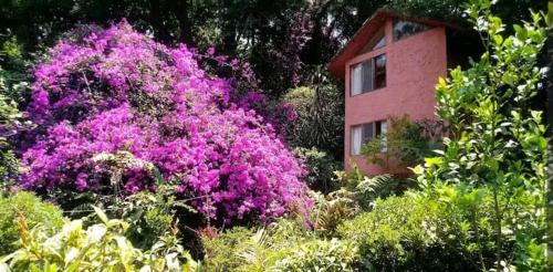 ex hacienda molino de pedreguera