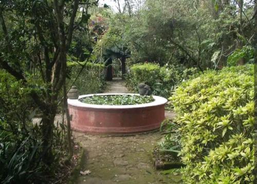 ex hacienda molino de pedreguera