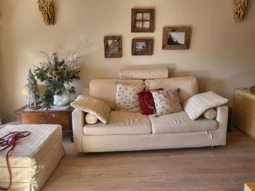 Alloggio "Pineta" sulle piste di clotex