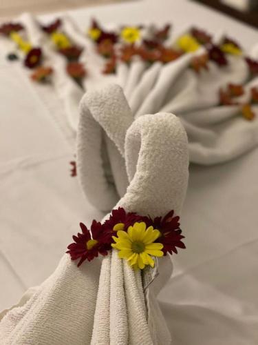 马林加 Elo Hotels Express 4星级 酒店 套房