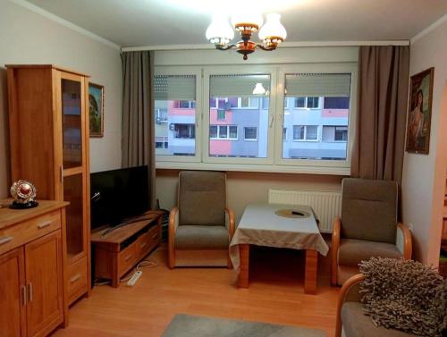 Bogatynia baza wypadowa Turów - Apartment - Bogatynia