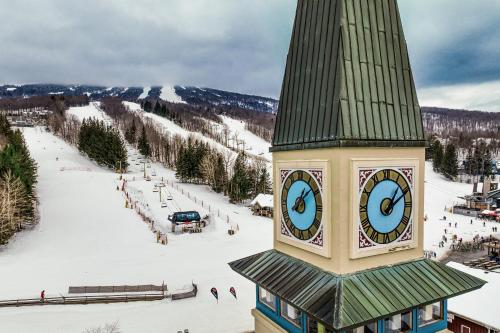 Vantage Point #8 in Stratton, USA