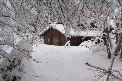 Chalet OTT - apartment in the mountains with sauna