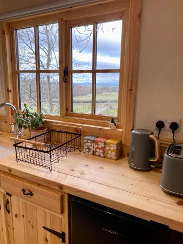 Lowgingerfield Shepherd Hut in Aske