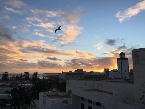 Beau riad en médina, lumineux et avec terrasse privée sur mer Beau riad en médina, lumineux et avec terrasse privée sur mer