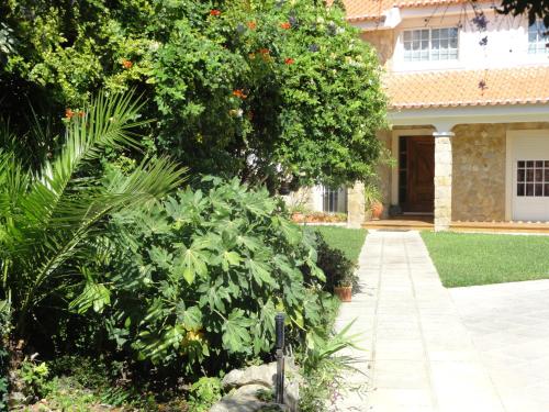 Apartamentos Em Moradia Com Jardim