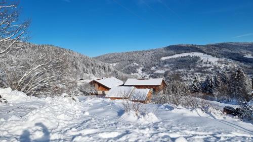Chalet Terejo & spa 5