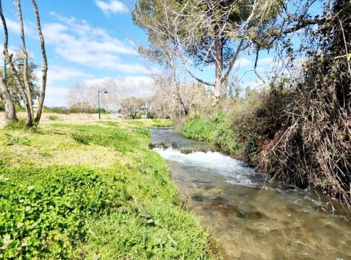 אגם בטבע, HaGoshrim (foto 7)