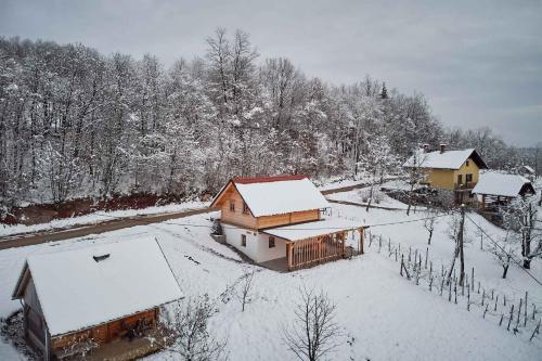 Holiday home in Mirna Pec Kranjska Krain 43928 in Golobinjek