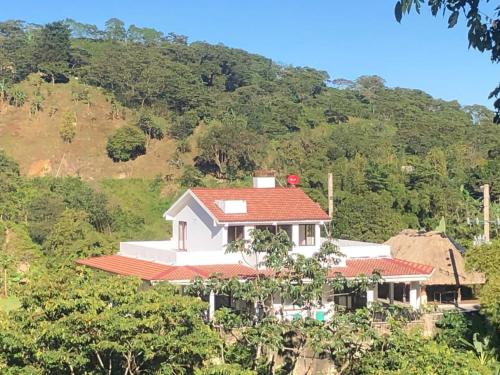 Sleeps 17