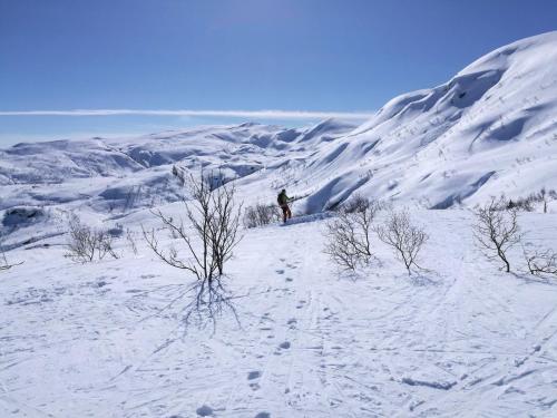 Tangen - cabin with 4 bedrooms - great nature