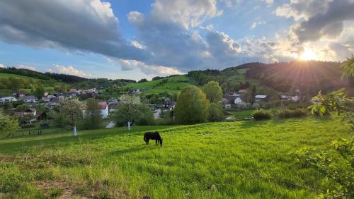 Vila nad Liptálem - Celý objekt, poblíž domu je rekreační oblast Všemina