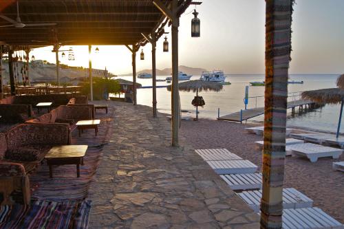 אוכל ומשקאות, Sharks Bay Umbi Diving Village in שארם א-שייח'