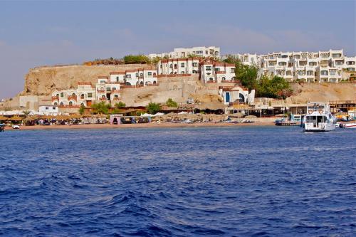 Umbi Sharks Bay Diving Village - image 5