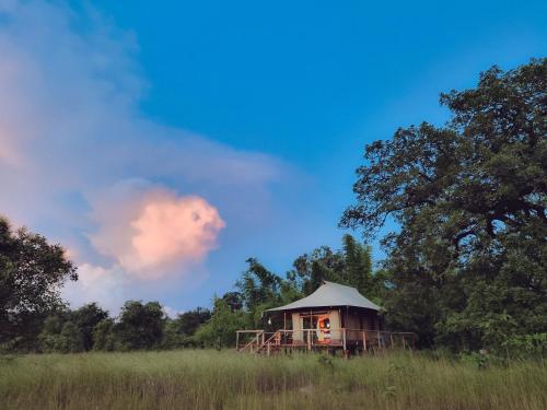 . The Untamed Bandhavgarh by TUTC