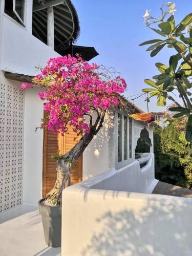 lory‘s home in Bangkok