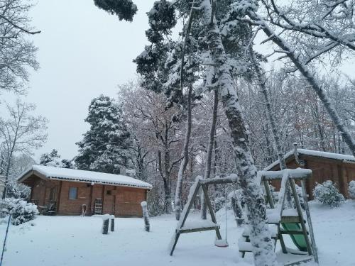 Chalets du Bois de Vache