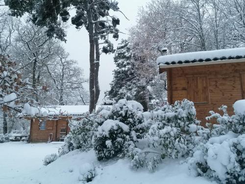 Chalets du Bois de Vache