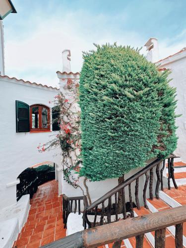 Sa caseta de Fornells 2