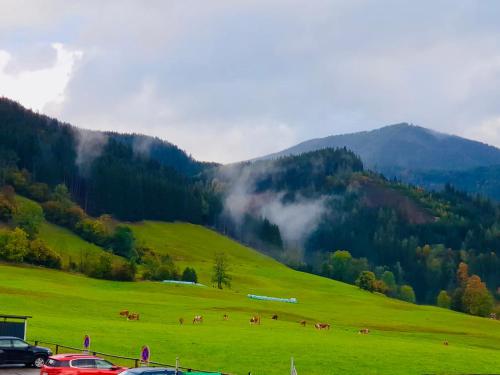 Ferienwohnung in Aflenz Kurort Ferienwohnung in Aflenz Kurort