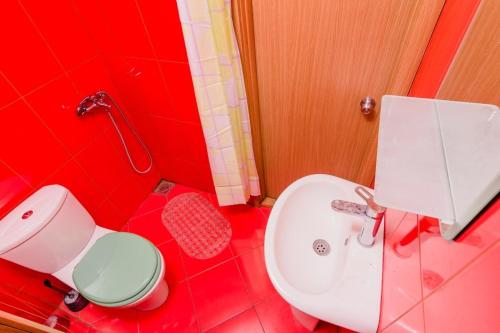 Villa Strp - image 7