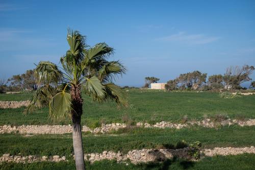 Ta' Rozi 5 Bedroom Farmhouse with Private Pool Ta' Rozi 5 Bedroom Farmhouse with Private Pool