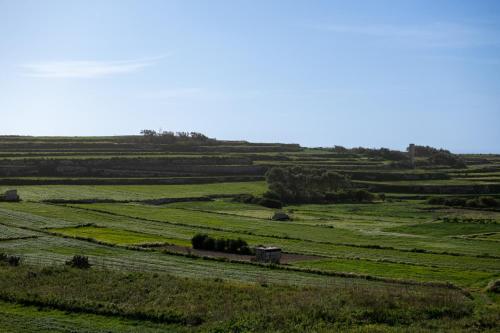 Ta' Rozi 5 Bedroom Farmhouse with Private Pool Ta' Rozi 5 Bedroom Farmhouse with Private Pool