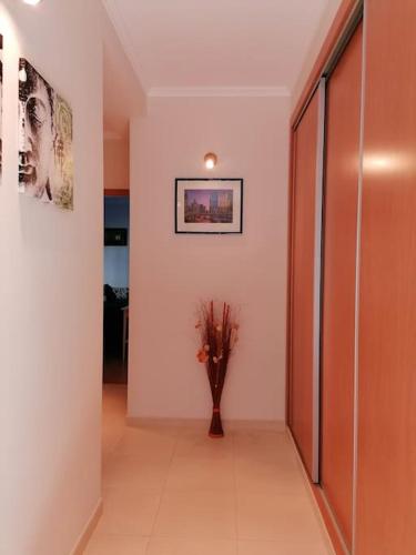 AL - Amar Odeceixe, Odeceixe (foto 6)