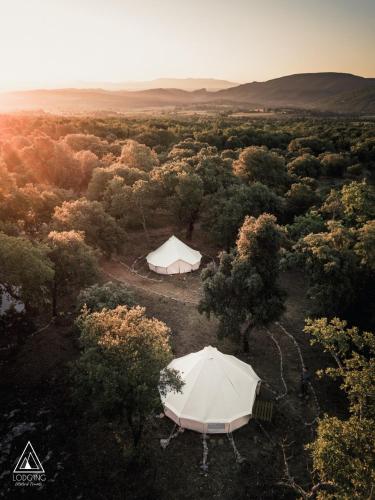 Lodg'ing Nature Camp Luberon - Camping - Saint-Michel-l'Observatoire