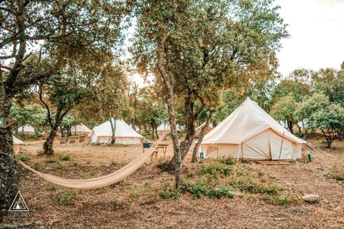 Lodg'ing Nature Camp Luberon