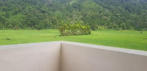 Yulides home gardens in Sigunturmuda