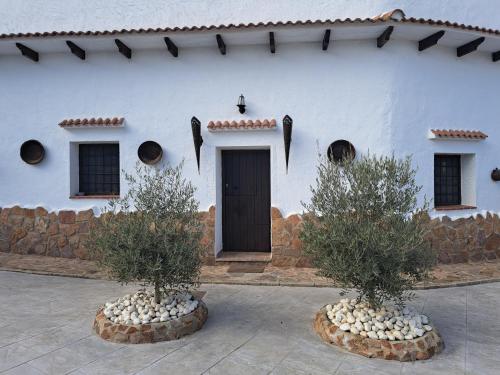 CASA CUEVA LOS HONORIOS in Kortes de Baza