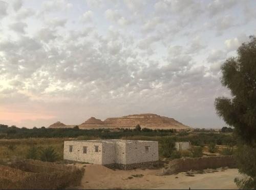 Friendo's House & Hot Spring