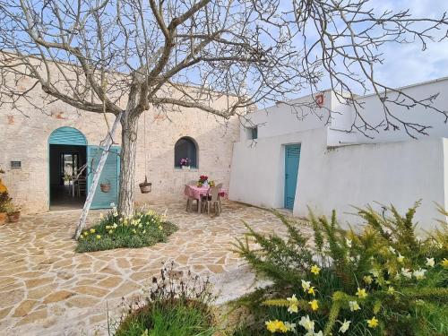 Beautiful trulli property with annex in Locorotondo