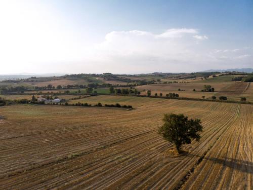 Poggio Martino in Fasciano