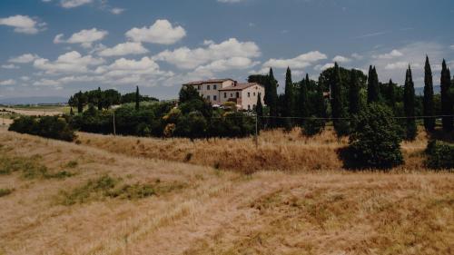 Poggio Martino in Fasciano