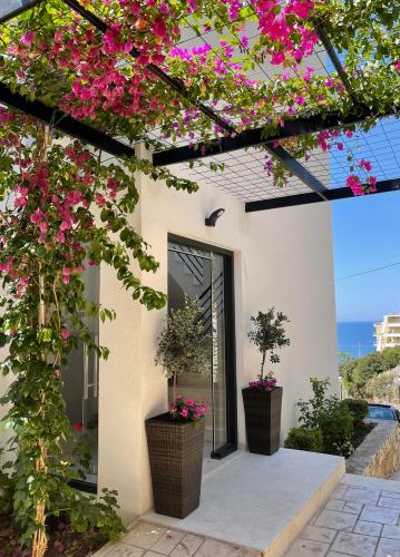 Hotel Platon - image 13